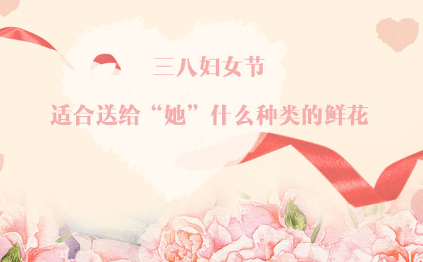 三八婦女節(jié)，適合送給“她”什么種類(lèi)的鮮花？