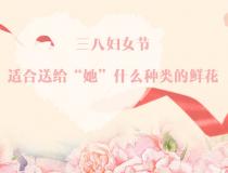 三八婦女節(jié)，適合送給“她”什么種類的鮮花？